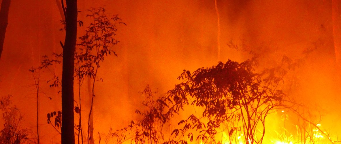 North of Bamaga, Qld 2. North of Bamaga, Far North Queensland.